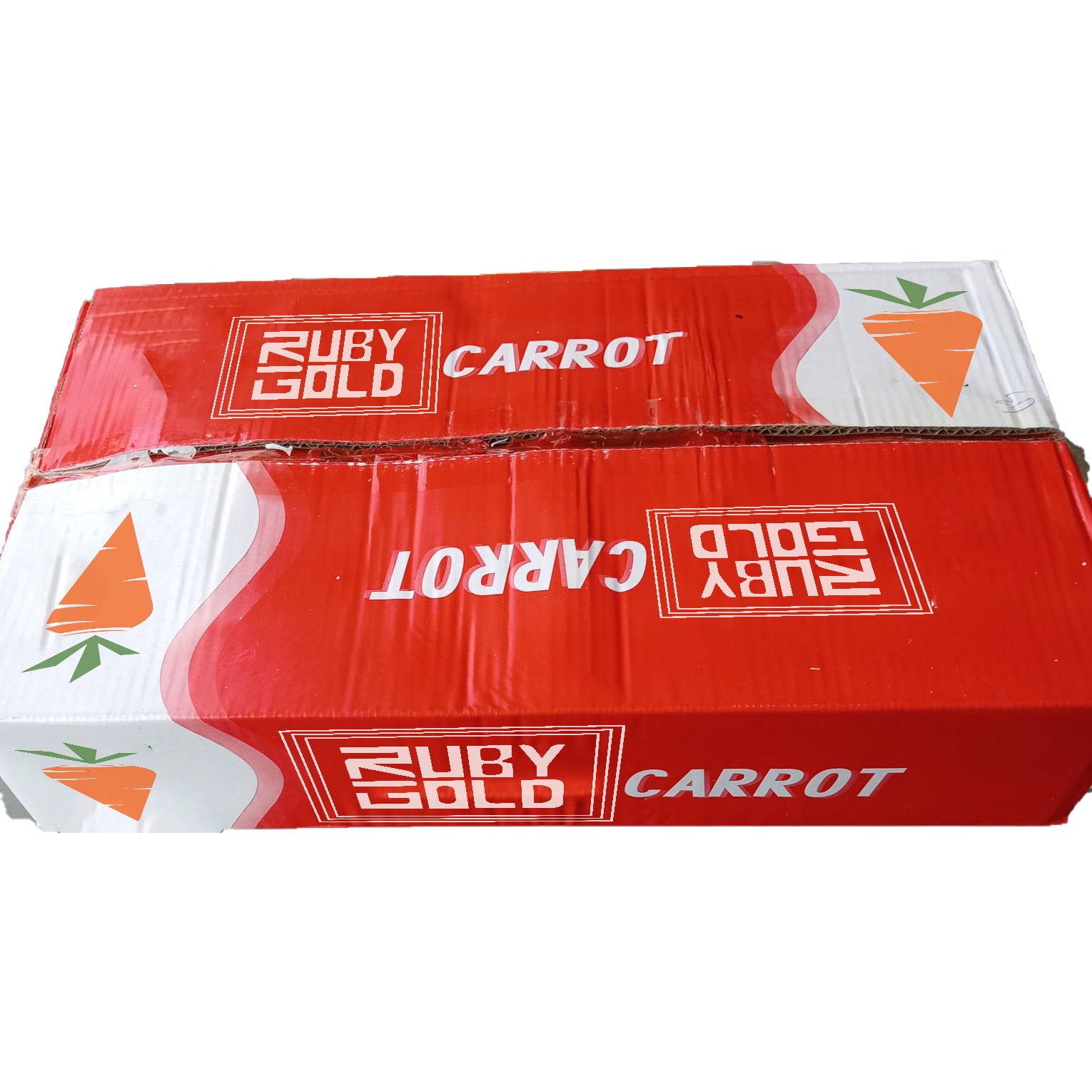 carrot