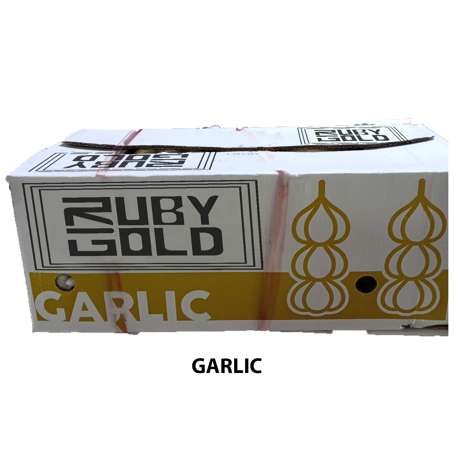 garlic